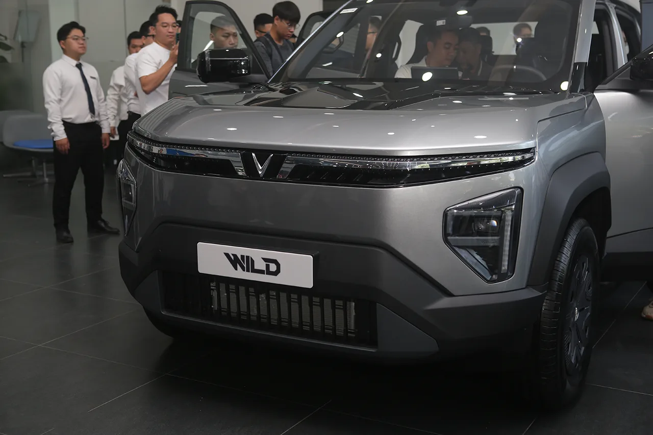 VF Wild